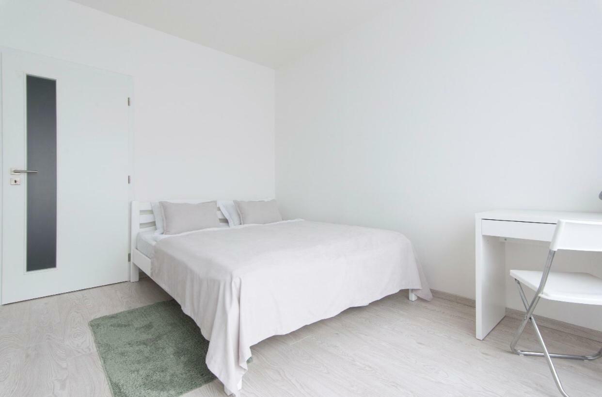Free Parking In Garage Karolina Plazza, New Cosy Studio With All You Need Prag Eksteriør billede